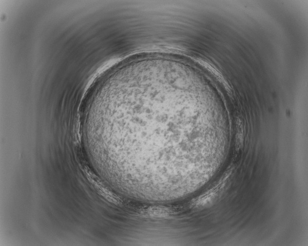 X0000085270974200703231737