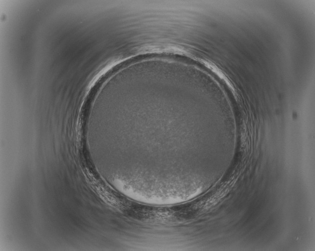 X0000085270975200703231737