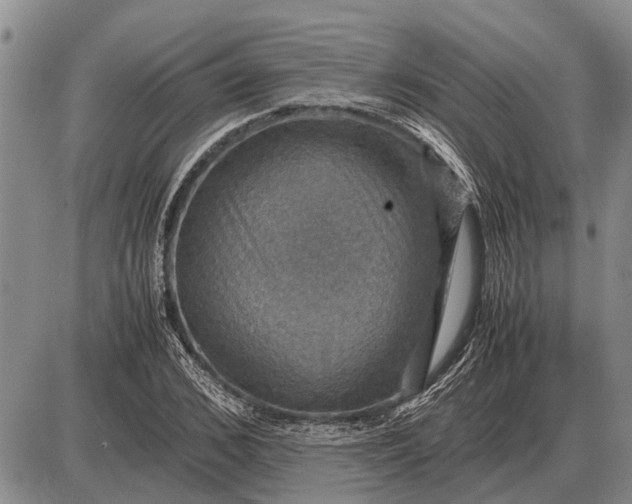 X0000085270976200703231736