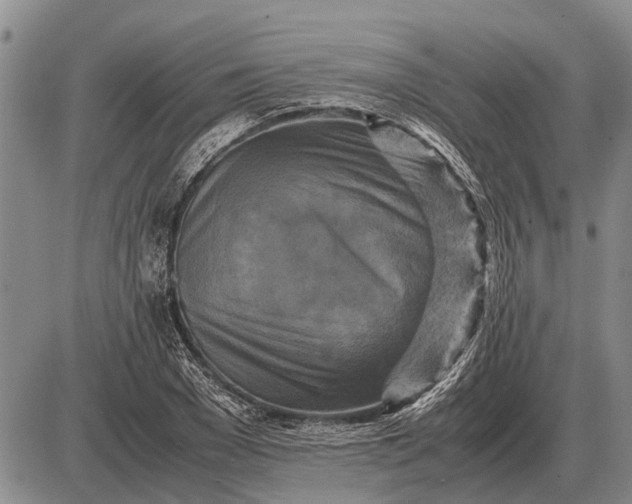 X0000085270977200703231736