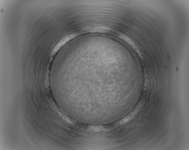 X0000085270978200703231736