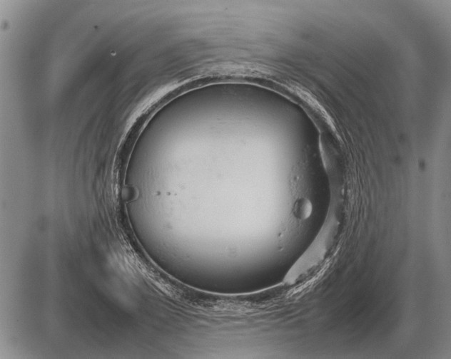 X0000085270981200703231736