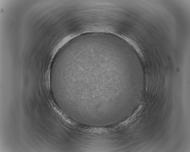 X0000085270982200703231736