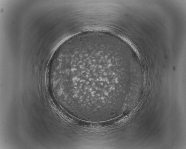 X0000085270983200703231736