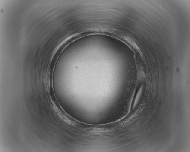 X0000085270984200703231736