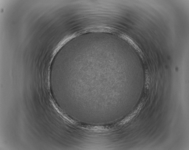 X0000085270986200703231736