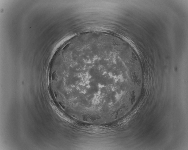 X0000085270987200703231736