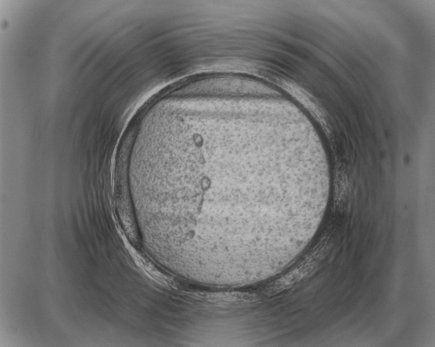 X0000085270988200703231736