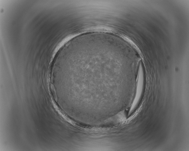 X0000085270989200703231736