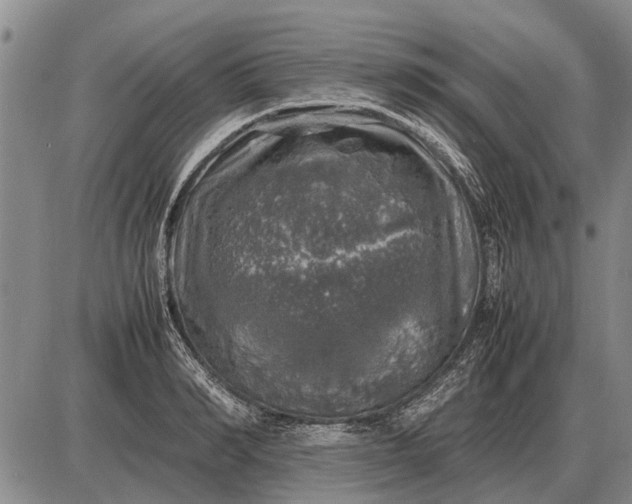 X0000085270990200703231736