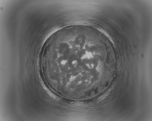 X0000085270991200703231736