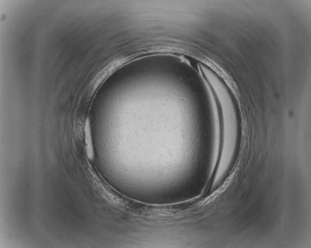 X0000085270993200703231736