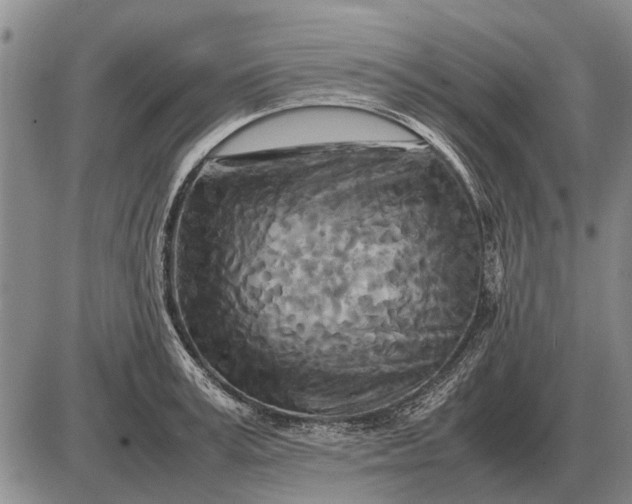 X0000085270995200703231736