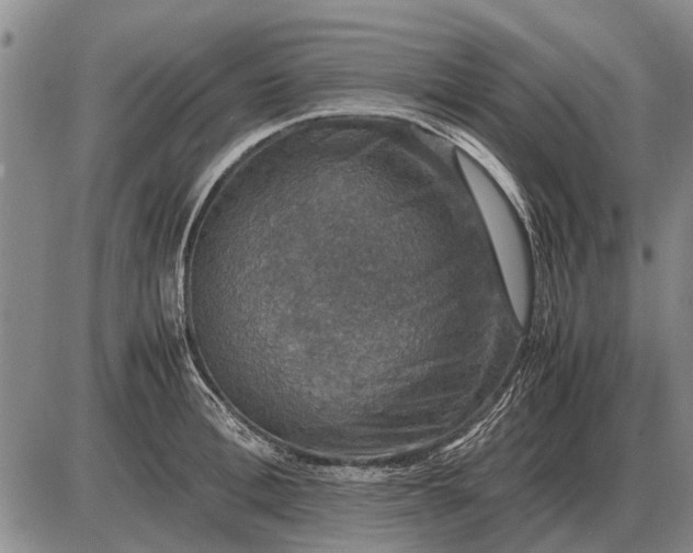 X0000085270996200703231736