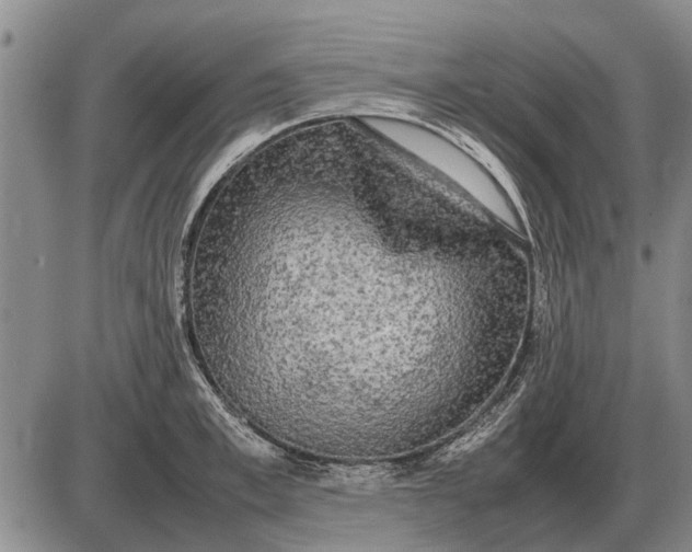 X0000085270997200703231736