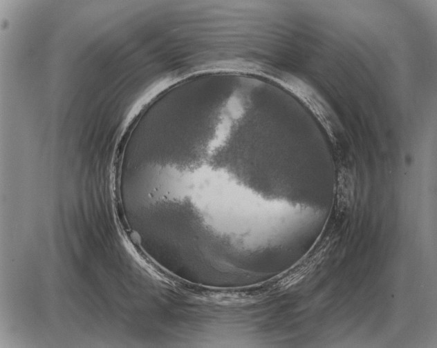 X0000085270998200703231736