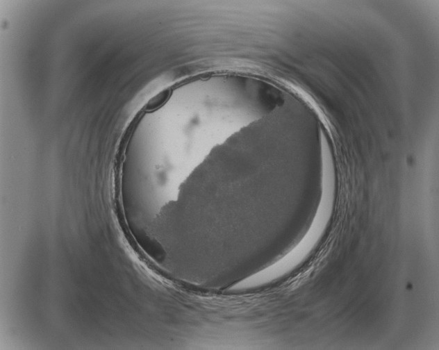 X0000085270999200703231736