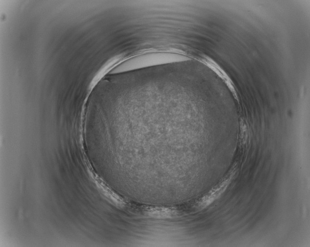 X0000085271002200703231736