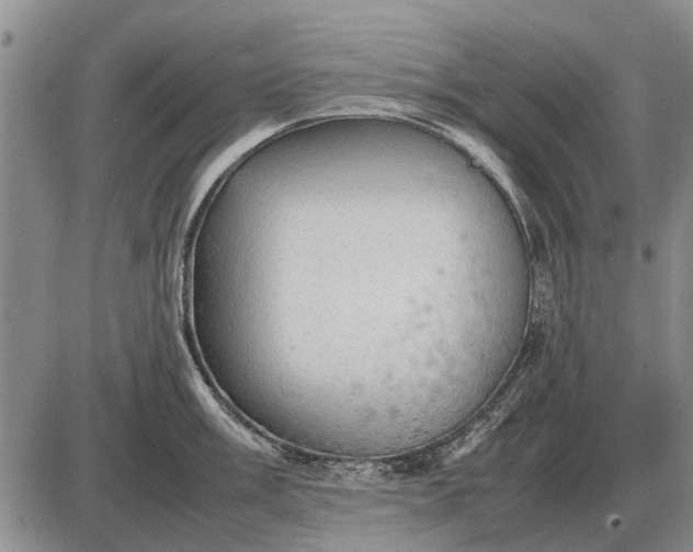 X0000085271003200703231736