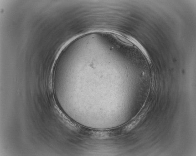 X0000085271004200703231736