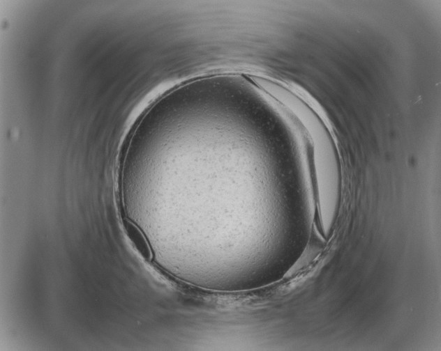 X0000085271005200703231736