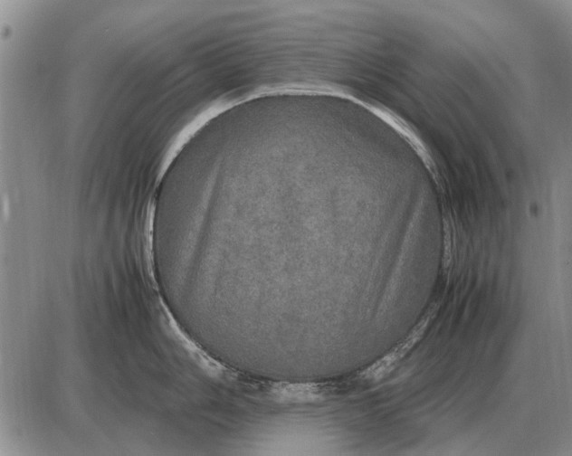 X0000085271006200703231736