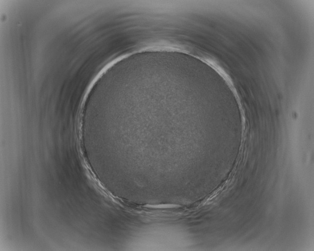 X0000085271008200703231736