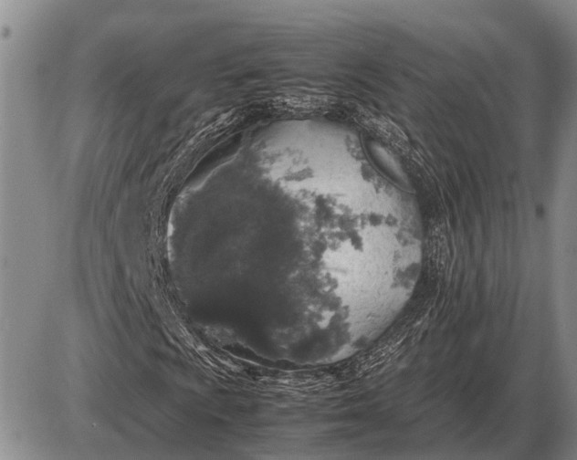 X0000085271009200703231735