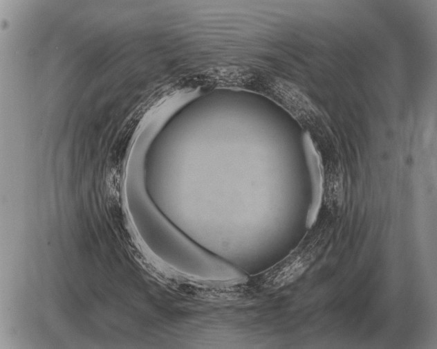 X0000085271010200703231735