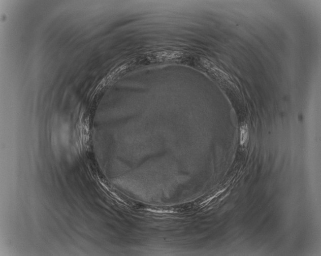 X0000085271011200703231735