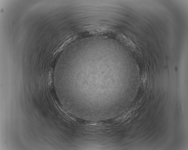 X0000085271012200703231735