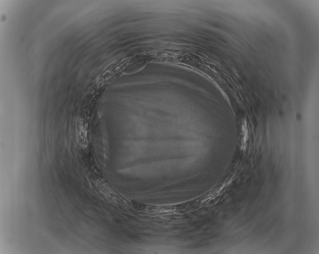 X0000085271013200703231735