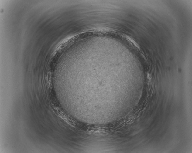 X0000085271016200703231735