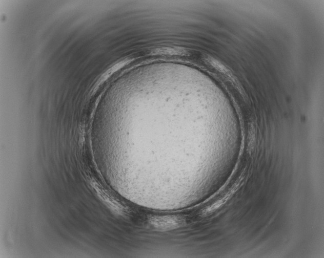 X0000085271017200703231735