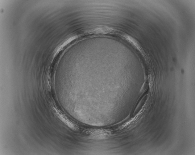 X0000085271018200703231735