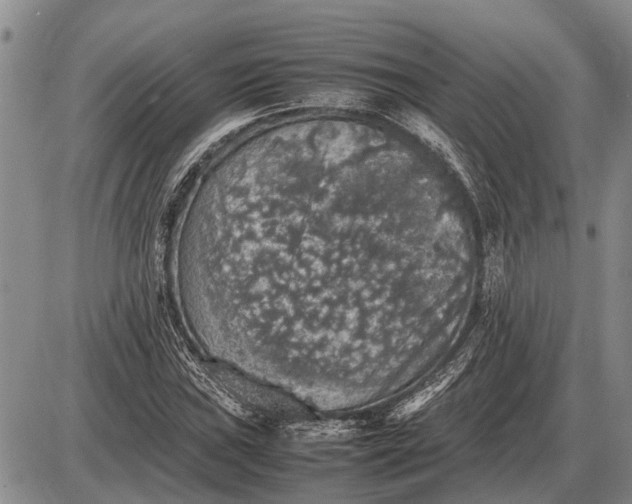 X0000085271019200703231735