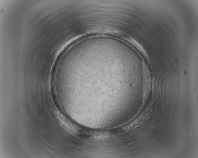 X0000085271020200703231735