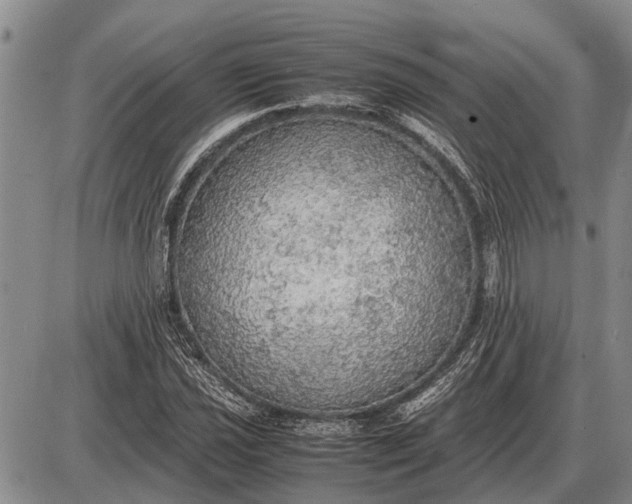 X0000085271021200703231735