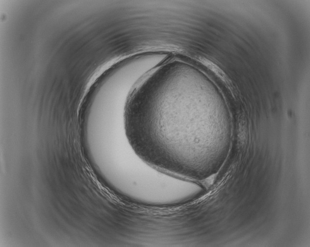 X0000085271022200703231735