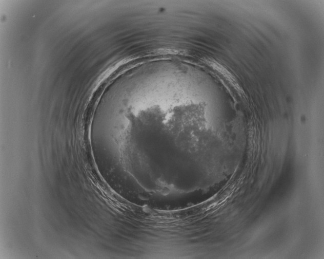 X0000085271023200703231735