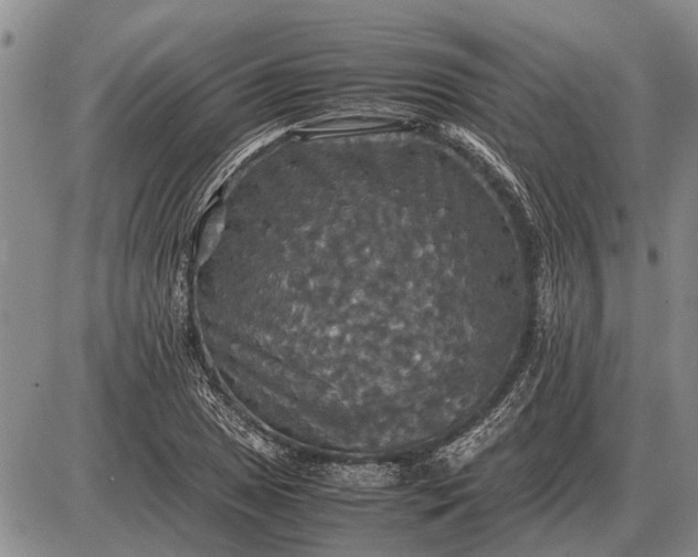 X0000085271025200703231735