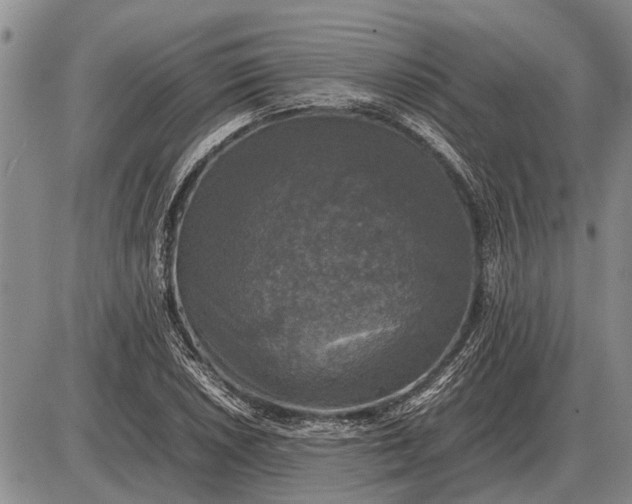 X0000085271026200703231735