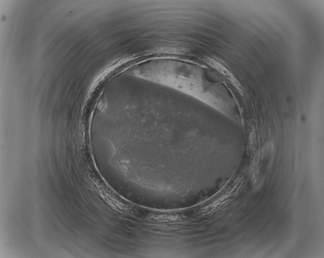 X0000085271027200703231735