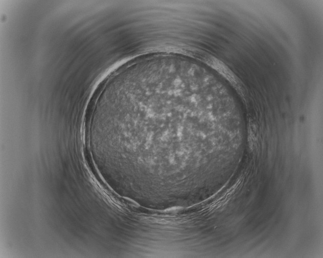 X0000085271028200703231735