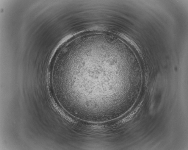 X0000085271029200703231735