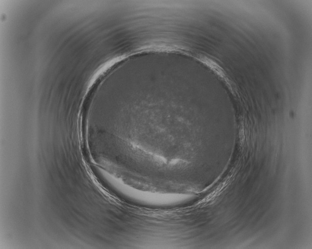 X0000085271030200703231736