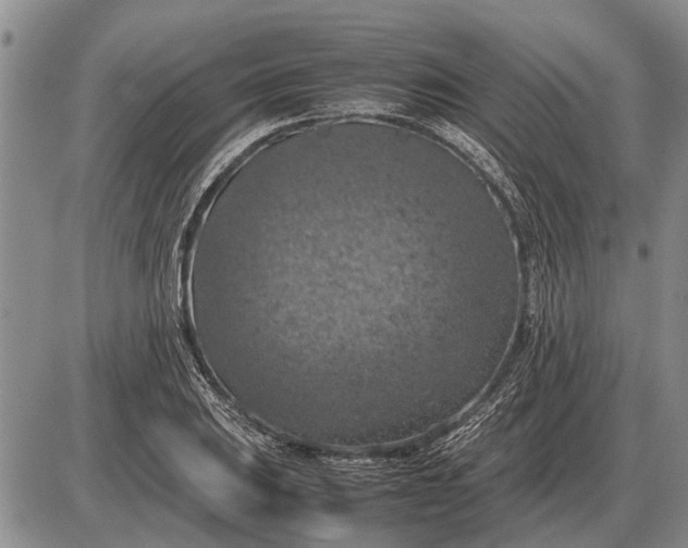 X0000085271031200703231736