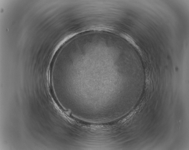 X0000085271032200703231736