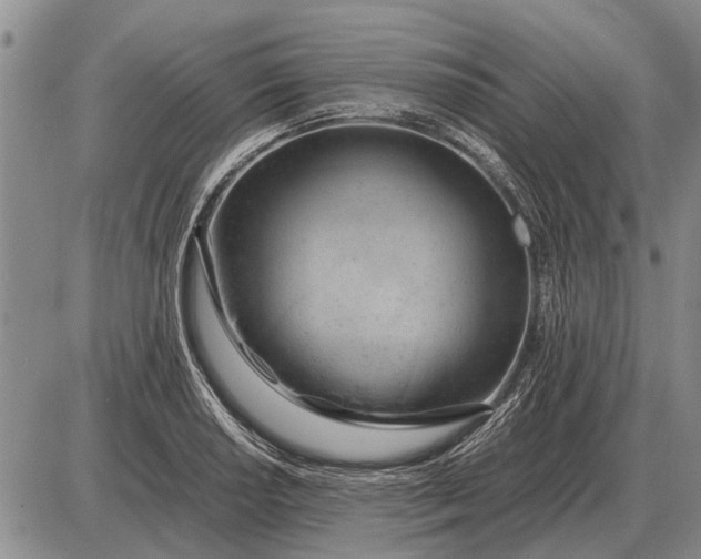 X0000085271034200703231736