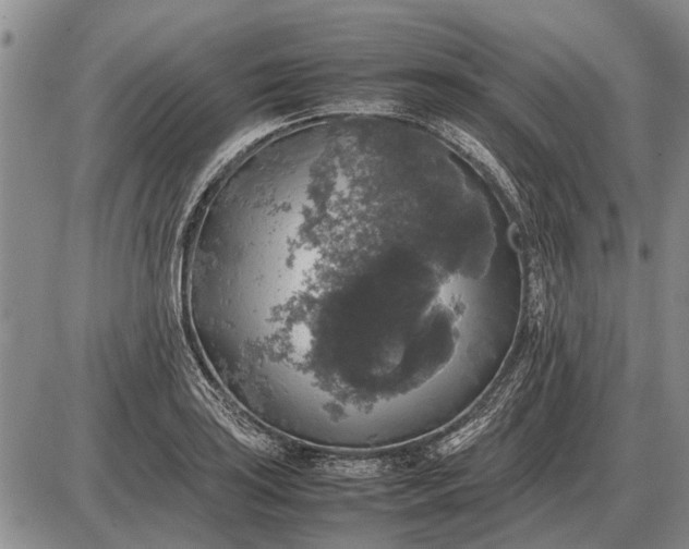 X0000085271035200703231736